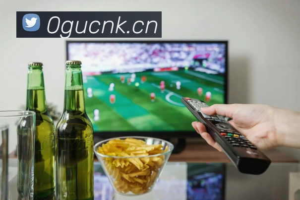 星空官方网站登录入口发展历程